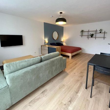 Grand Studio Joli Coeur - Calme Cosy Lumineux + Parking Lägenhet Nancy Exteriör bild